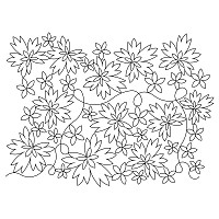 scattered dianthus e2e 001